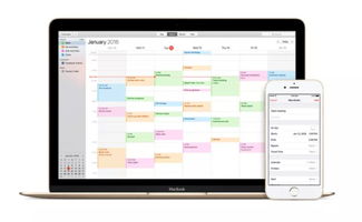 iCloud網(wǎng)頁(yè)版反垃圾功能上線 信息處理新里程，治標(biāo)更需治本